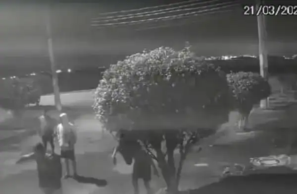 Capivara é brutalmente espancada por oito homens e fica gravemente ferida