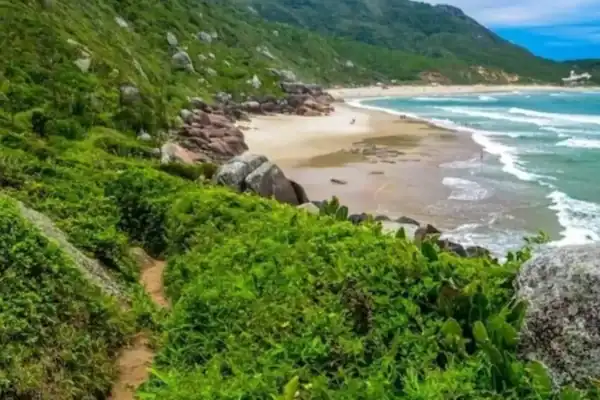 Vídeo registra orgia ao ar livre interrompida com megafone em Florianópolis