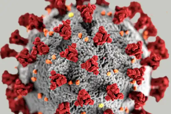 Variante BA.3.2 da Covid-19 é detectada em mais de 20 países e gera preocupação