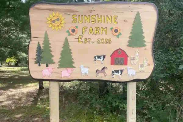 Canguru foge de zoológico com fralda e atrai atenção em Wisconsin