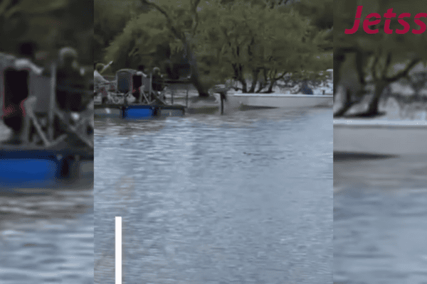 Hipopótamo atinge embarcação e acaba virando barco