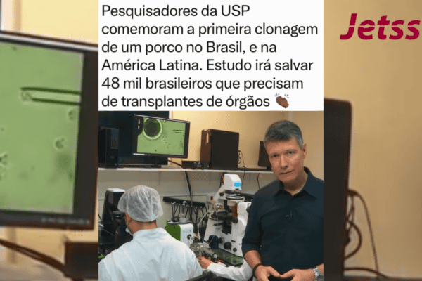 Pesquisadores da USP comemoram a primeira clonagem de um porco no Brasil e na América Latina