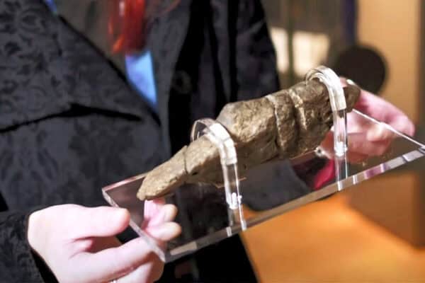 Maior cocô humano fossilizado já registrado é avaliado em R$195 mil reais