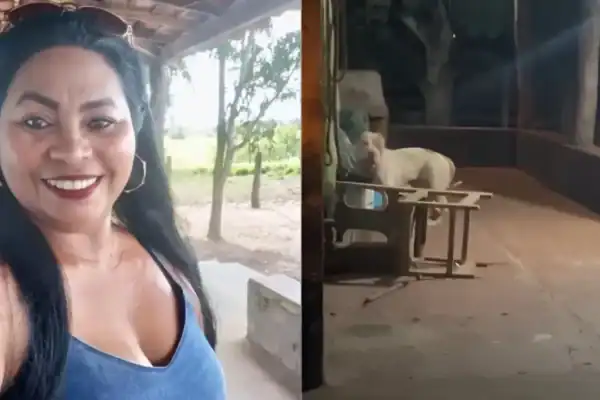 Vídeo exibe pitbull após dilacerar mulher dentro de casa