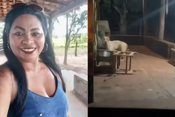 Marido de mulher morta por Pitbull presta depoimento e revela novos detalhes