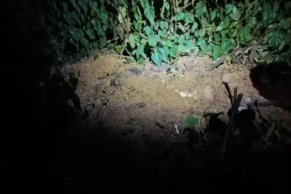 Irmãos são detidos por suspeita de matar homem e enterrá-lo em cova rasa