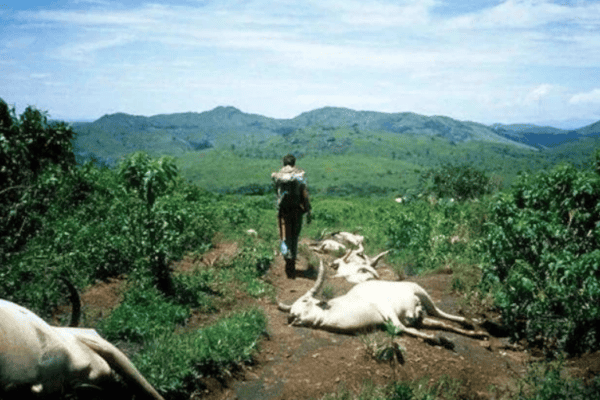 Povoado inteiro dorme e ninguém acorda no dia seguinte; entenda