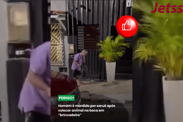 Homem é mordido por saruê após colocar animal na boca em “brincadeira”