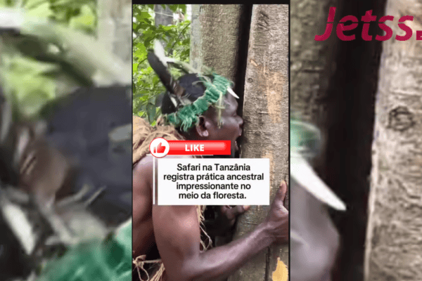 Safari na Tanzânia registra prática ancestral impressionante no meio da floresta