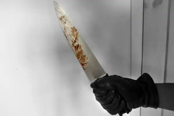 Adolescente de 17 anos é detido suspeito de matar idosa após afirmar ter ‘ouvido vozes’