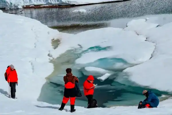 Bactérias da Antártica podem combater danos solares e auxiliar no rejuvenescimento da pele