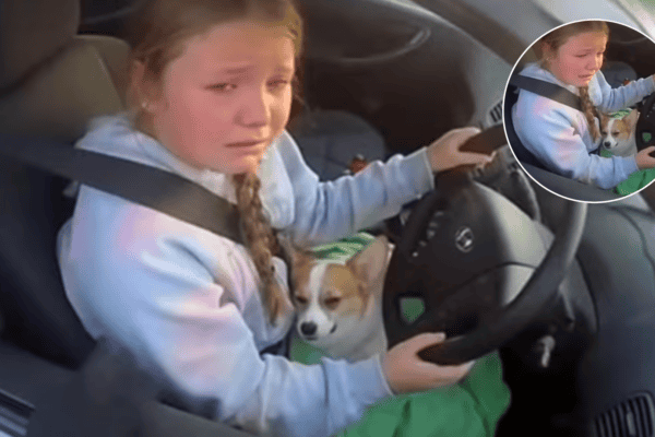 Menina de 12 anos rouba carro e sai correndo pela cidade para salvar seu cão