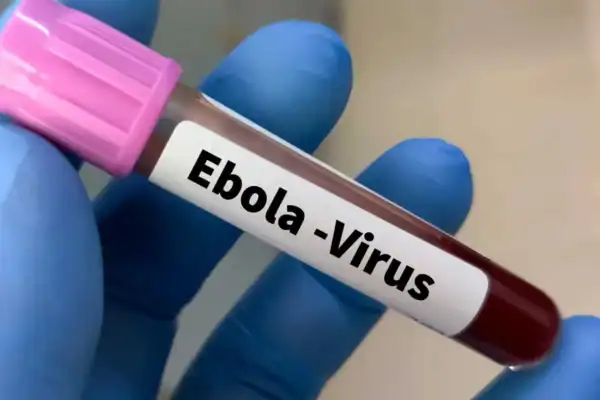 Ebola: aumento de casos suspeitos leva autoridades de saúde a emitir alerta global
