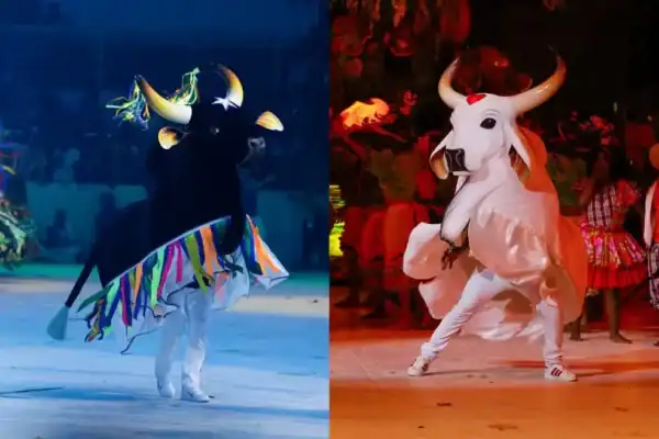 Caprichoso x Garantido: tudo que você precisa saber sobre o Festival de Parintins