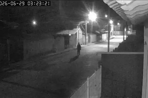 Filho mata a mãe e série de ações choca investigadores