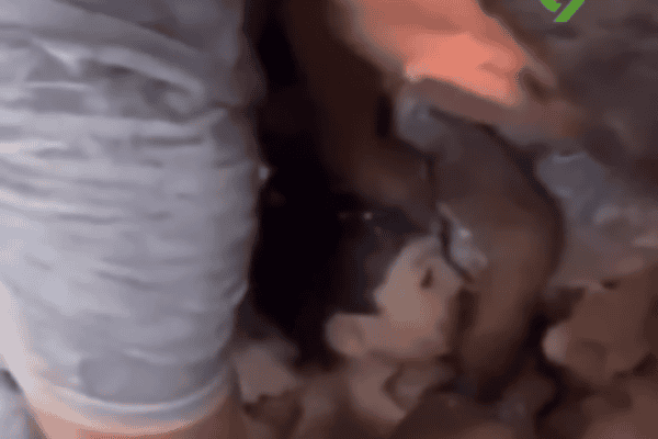 Drama na Venezuela: Após terremoto, criança é encontrada viva, mas não aceita ser salva sem a mãe