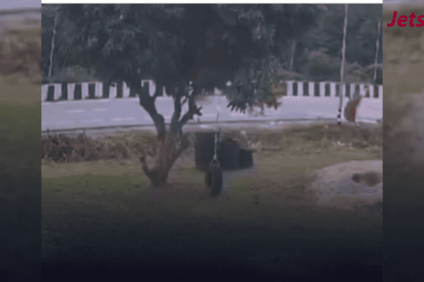 Veja: ao menos 8 monges morrem atropelados por menino de 11 anos