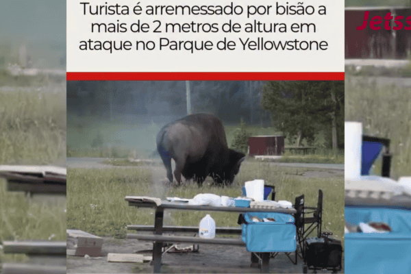 Turista é arremessado por bisão a mais de 2 metros de altura em ataque no Parque de Yellowstone