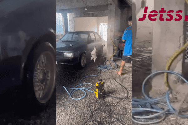 Cachorrinha transforma lavagem de carro em festa e rouba a cena