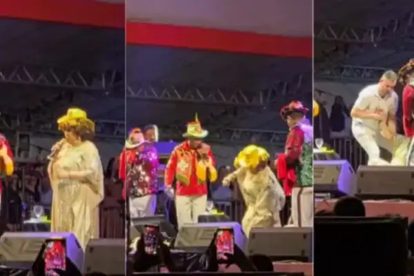 Alcione sofre queda em show e assusta fãs