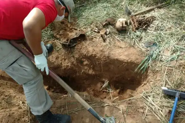 Altar macabro descoberto pela polícia escondia detalhe perturbador