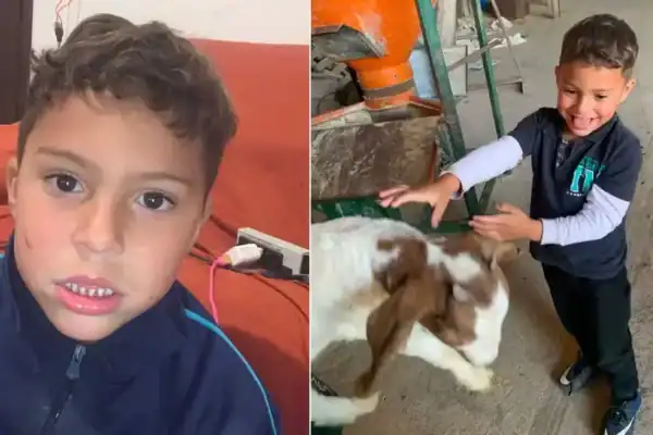 Menino autista de 5 anos some e mobiliza força-tarefa no Paraná