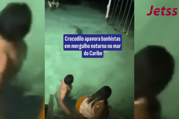 Crocodilo apavora banhistas em mergulho noturno no mar do Caribe
