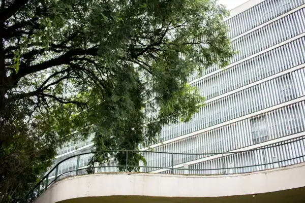 Mendonça: Executivo precisa repensar critérios para nomeação em agências reguladoras