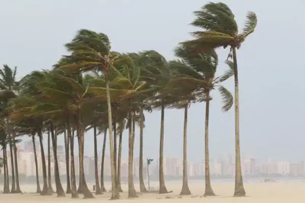 Ventos de até 100 km/h fecham Porto de Santos e interrompem travessias na Baixada Santista