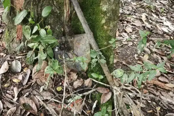 Polícia encontra detalhes chocantes em buscas por adolescentes desaparecidas na Bahia
