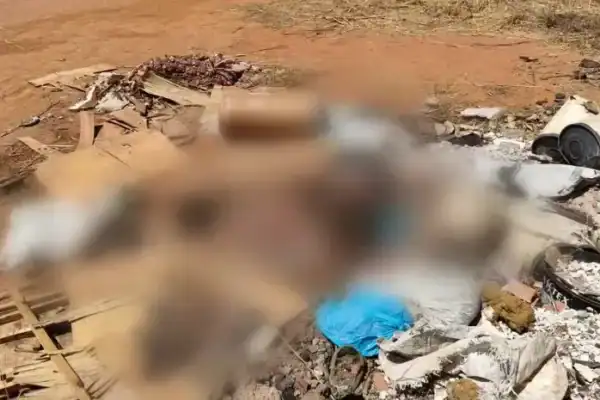 Denúncia de pé humano leva guardas a descoberta de corpo esquartejado em Palmas