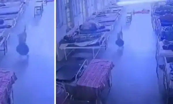 Cão leva bolsa com joias avaliadas em R$ 21 mil dentro de hospital