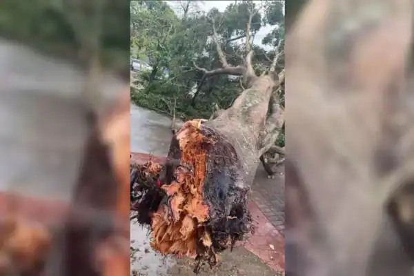 Temporal arranca brinquedo inflável e fere duas crianças em Apucarana