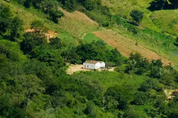 Laticínio é saqueado sem ser notado e município perde mais de R$ 2 milhões
