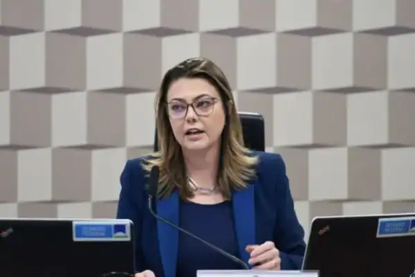 Relatora da MP das blusinhas apresenta seu parecer à comissão mista do Congresso