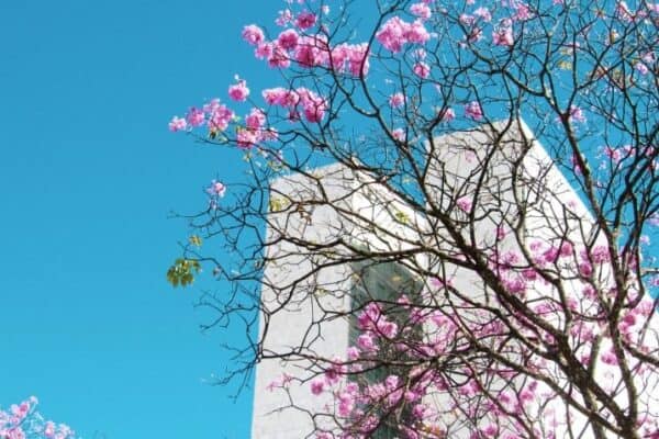 Terça-feira marca início da primavera no hemisfério Sul