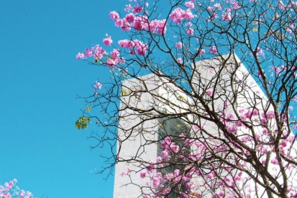 Defesa Civil prevê primavera com calor intenso e temporais em São Paulo