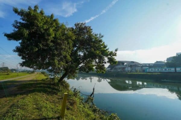 Sistema mapeia áreas urbanas com maior resiliência a inundações