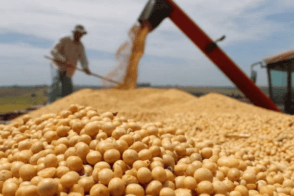 Agricultura brasileira registra produção de R$ 927,2 bilhões em 2025, maior nível desde o Plano Real