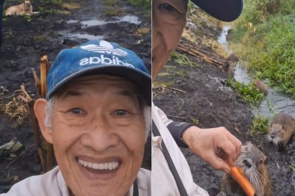 “Bom diaaa!” Seiki Nishino, aos 70, conversa com família de ratões-do-banhado
